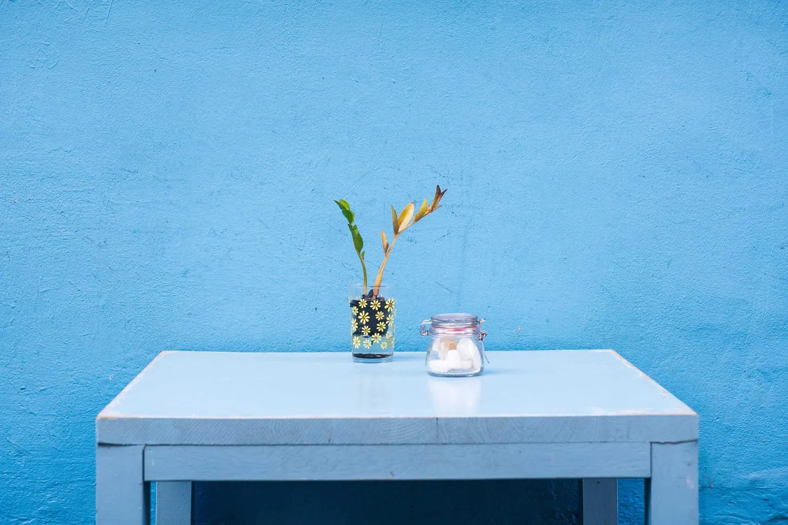 Mesa branca com um pequeno vaso de flor contra uma parede azul